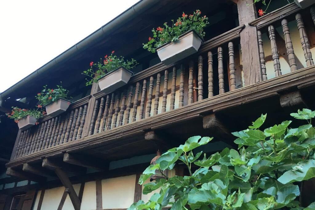 Gite Alsacien Eckwersheim Bagian luar foto